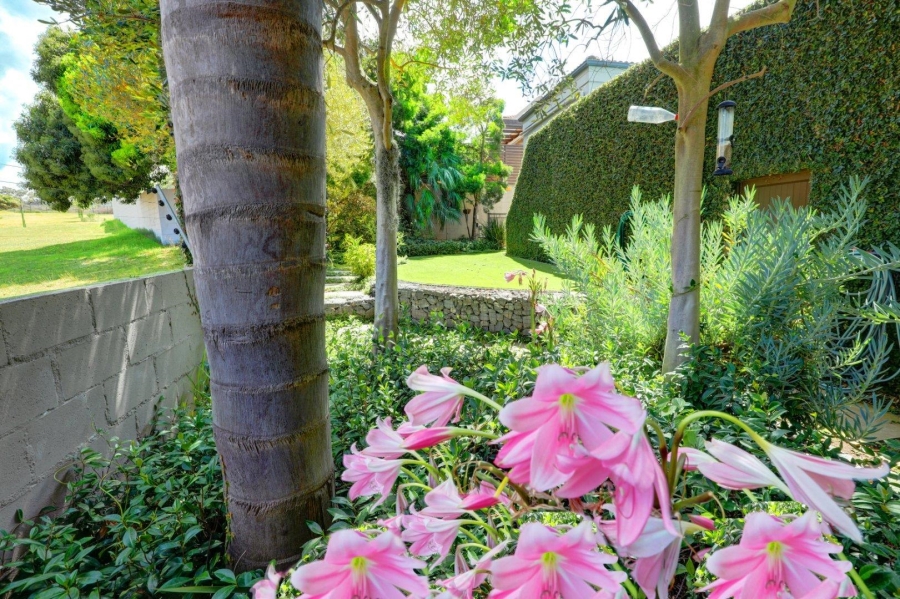 5 Bedroom Property for Sale in Van Riebeeckshof Western Cape